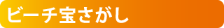 ビーチ宝さがし