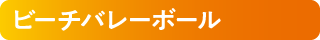 ビーチバレーボール