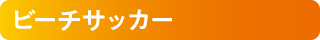ビーチサッカー