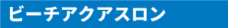ビーチアクアスロン 
