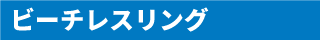 ビーチレスリング