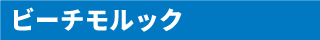 ビーチモルック