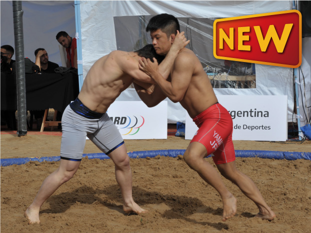 ビーチレスリング